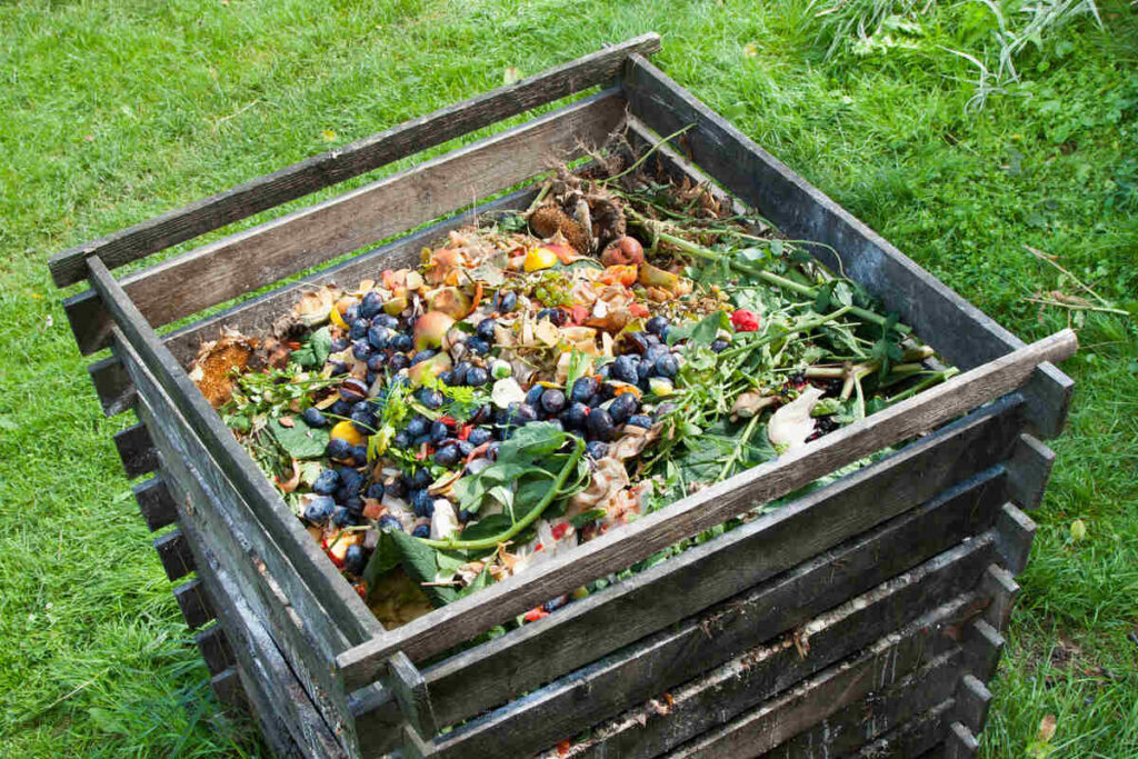 When Is The Best Time To Start Composting For My Garden?