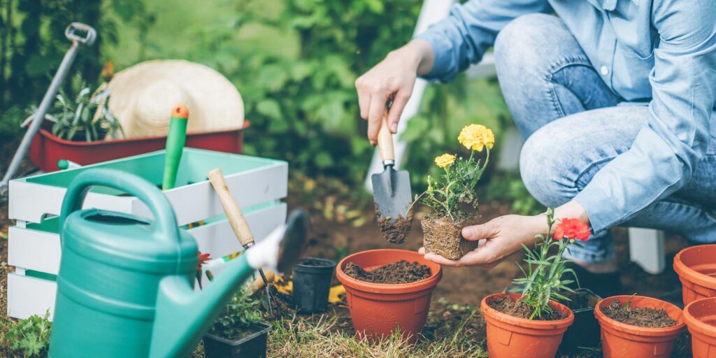 Where Can I Find The Best-reviewed Gardening Gadgets?